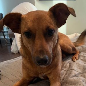 Meet your Posher, Tom